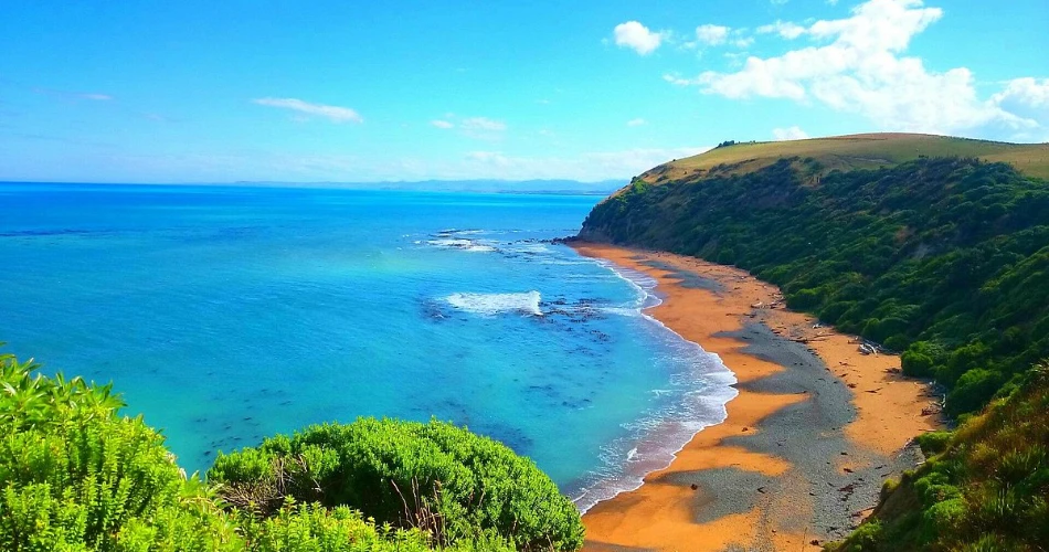 Alpine Motel Oamaru – Comfort and Convenience in New Zealand’s Victorian Town